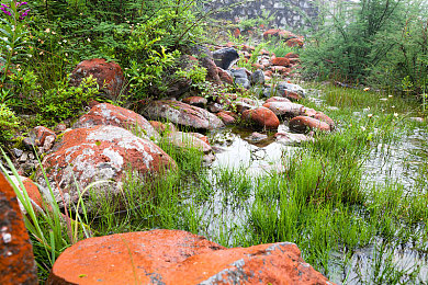 男人 女人40分钟视｜40分钟情感纠葛，选择决定命运：男女主角心动之旅-1