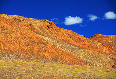 91果冻生产厂白晶晶个人简历｜果冻女将白晶晶：匠心铸就行业典范，砥砺前行中国梦-3