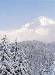 男女之间五个开关,三菜一汤｜“情感五维解锁，三菜一汤绘甜蜜人生”-3