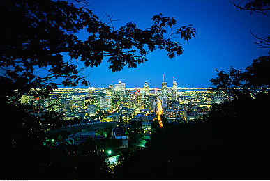 99热这里只｜互联网风云际会，99元特权大挑战