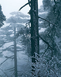 两人打扑克剧烈运动|扑克竞技:心智与智慧的较量,揭秘“两人打扑克剧烈运动”的魅力-2