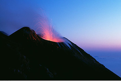 大肉楱征服警花｜爱情跨越警界，真情征服大肉楱-1