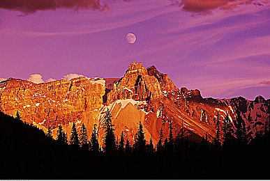 性插动态图｜网络道德底线失守，性插动态图引发社会伦理风暴-3