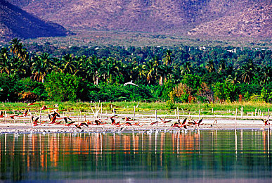 男女一起差差差APP｜“跨越性别界限，共探生活差异：探索性别平等新视角”-1