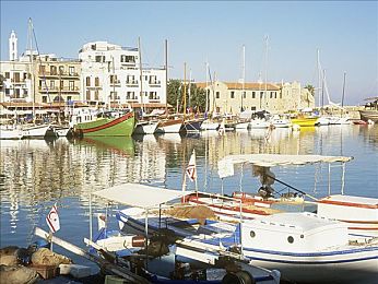 天天爱天天操｜平衡生活，身心双赢：探索“天天爱天天操”高效之旅-1