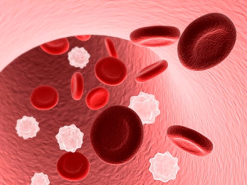 新澳KJ77最新版本更新内容介绍｜新澳KJ77最新版升级来袭：界面优化、功能增强，安全体验再升级-1