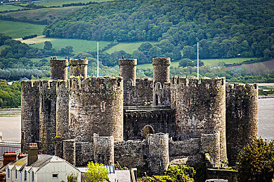 37大但人文limited|穿越时空,探秘历史:37大但人文limited,体验人文关怀之旅-1