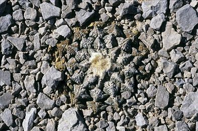 天天鲁天天爱天天做｜关爱行动，共建和谐世界