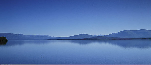 黑料老司机,不打烊,heiliao｜夜猫狂欢不打烊，黑料老司机乐无边-2