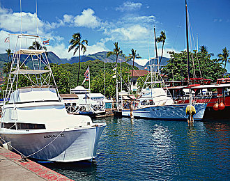 黄.www|网络热词“黄.www”:解码网络文化现象与社会影响-1