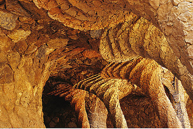 欧美性护士｜揭开欧美护理之谜，专业守护与心灵慰藉的美丽使者