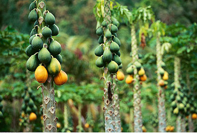 打扑克不盖被子又疼又叫｜“夜深扑克热身，保暖意识冷感来袭：安全娱乐，健康同行”-1