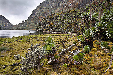 全彩ACG 无翼乌邪恶帝｜全彩动画巨作“无翼乌邪恶帝”：ACG领域新星的崛起与影响-4