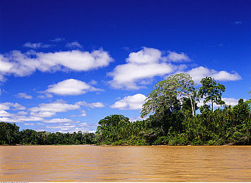 陌秀直播｜畅游陌秀，乐享直播盛宴-3