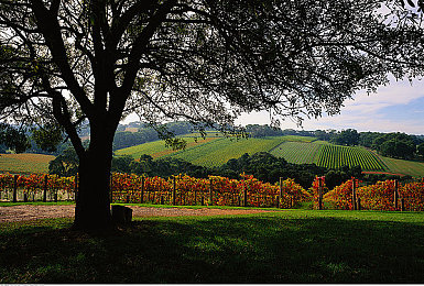 男生困困进女生困困洞|探险迷踪:青春洞穴求生记-1