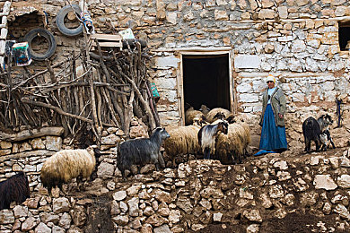 免费的剧烈运动扑克视频｜激情四溢！免费运动扑克游戏走红，线上线下共享运动乐趣-3