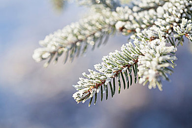 日本护士free另类内谢｜穿越樱花之国：日本护士创新关怀之旅-2