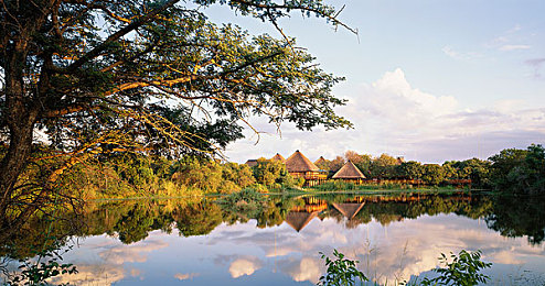 人马畜禽company猪｜穿越千年的美味传奇，人马畜禽company猪的独特魅力探寻-3