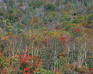 男同www|穿梭奇幻,情动男同世界-2