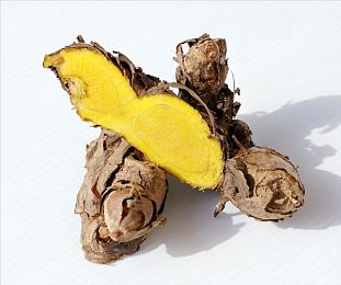 一小孩子和姐姐生宝宝｜温馨家庭成长之旅：亲子互动，共迎新生命-1