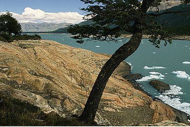 中国prouhnb站破解免费版｜破解Prouhnb，开启无限知识盛宴-4