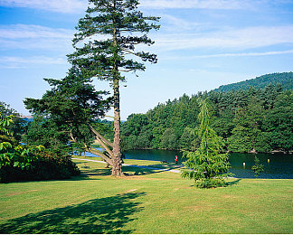 18岁禁APP｜“青春护航，数字边界——深度解读我国‘18岁禁APP’政策新篇章”-2