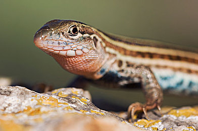 b站免费必看的3000纪录片|B站免费纪录片盘点:3000部游戏世界幕后故事等你探索-3