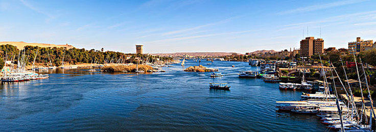 9岁孩子小马拉大车｜小小骑手大冒险：勇闯马背传奇之旅-4