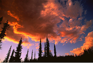 汤不热大剧院在线下载安装｜汤不热大剧院：海量影视资源一键下载，开启全新观影革命