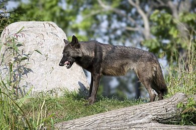 2025村委大选时间表｜“2025村委大选：民主春潮涌，乡村振兴谱新篇”-2