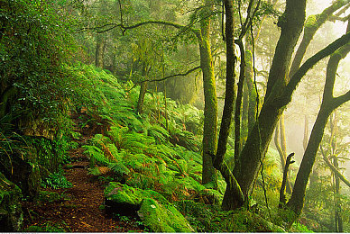 特种兵们被 的合不拢腿｜特种兵游戏细节引发热议：沙漠风暴中特种兵合不拢腿，玩家直呼有趣-1