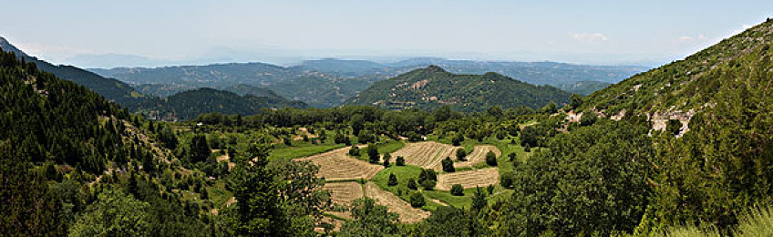 福建大菠萝导航站点2023|智能导航升级,大菠萝引领出行新篇章-3