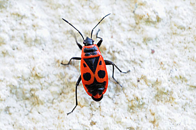 91抖｜短视频新秀“91抖”崛起：内容丰富引发社会关注，挑战与机遇并存-3