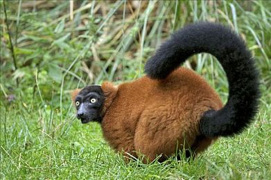 国产传媒果冻天美传媒人物介绍｜年轻创作者的崛起与创新媒体的未来-2