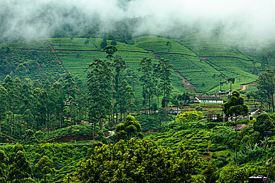 班花趴下让我 了一节课动漫｜班花课堂晕倒引热议：错过动漫课程，反思校园礼仪与关爱-2