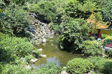 按摩师按到我高潮忍不住做了|按摩师误触高潮,行业规范大考验-1