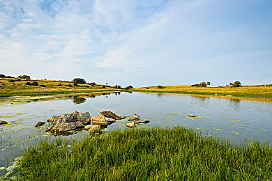 色多多。｜创新之花绽放，多彩中国画卷映照时代发展-1