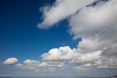 巨茎体育生XXXGAY2022｜巨茎体育生：XXXGAY2022，身材与精神的竞技舞台-1