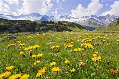 老司机黑料不打烊黑料｜司机隐私泄露引发社会焦虑与行业反思-2