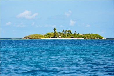 纲手被 脱脱内内打扑克｜网红牌局风云：纲手欢乐时光，揭秘私下真我