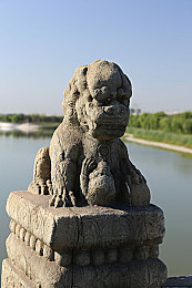 男人和女人一起差差差｜舞动差异，共创奇迹之旅-3