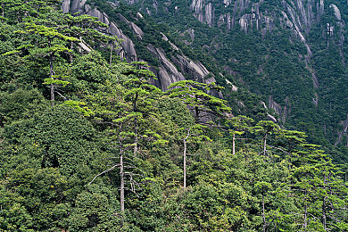 男男♂Gay 直播网站｜畅游彩虹世界，创新男男直播新纪元-2