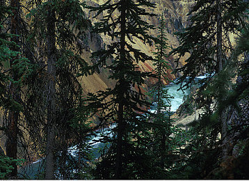 史莱姆从菊花附身雷电将军的身体|史莱姆附身:科技奇缘,神秘雷电将军之谜-1