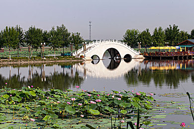 网站你应该知道我说的意思吧｜破解网络沟通谜题：揭秘网站交流中的误解与解决之道-1