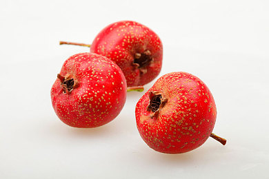 软件下载3.0.3每天无限次破解版｜破解风暴：版权保护与用户权益的平衡之道-2