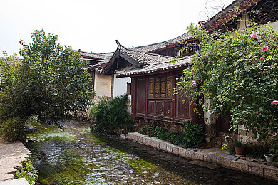 中国20岁小伙男男Gay网站｜网络净化行动：20岁小伙涉嫌违法，社会呼吁加强监管-2