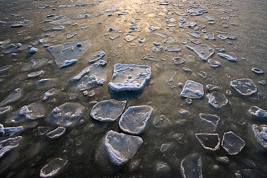 羞羞网站｜探索虚拟神秘花园：“羞羞网站”冒险解谜游戏引人入胜-4