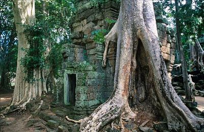 7xw7cc最新版本更新内容｜焕新体验，7xw7cc助力生活新篇章-2