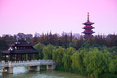 花间直播|花海沉浸,互动园艺,科技直播新体验-1