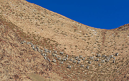 skixix was was kinohakciz｜解谜幻域，宝藏寻踪：探寻“SKIXIX WAS WAS KINOHAKCIZ”奥秘之旅